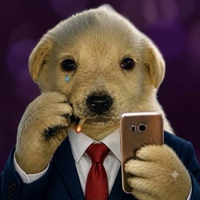 LJC’s avatar